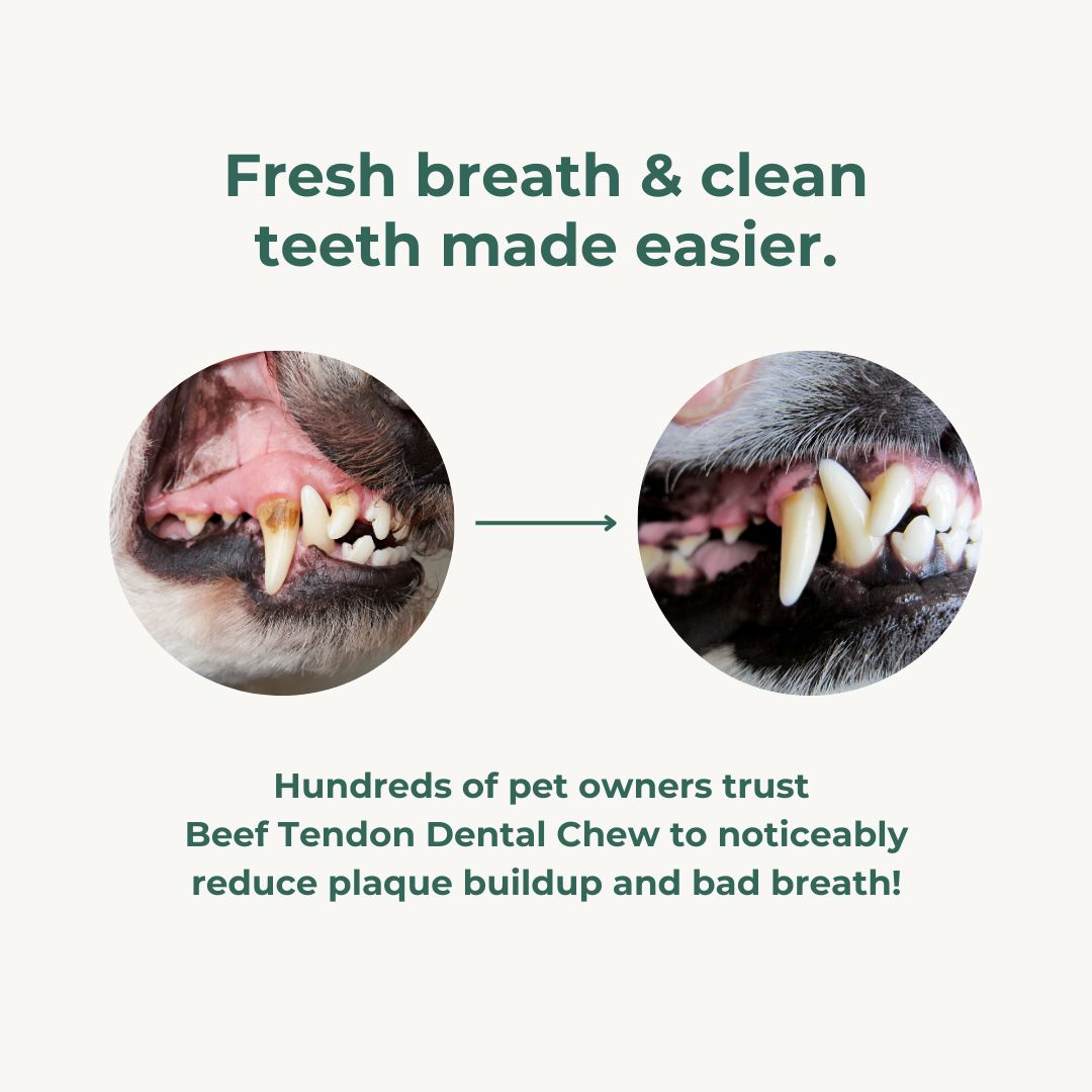 Beef Tendon Dental Chew Dog Treats Pet Snacks