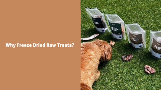 Benefits of Freeze Dried Raw Treats