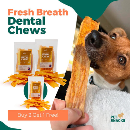 Natural Fresh Breath Dental Chew - 200g Dog Treats Pet Snacks 