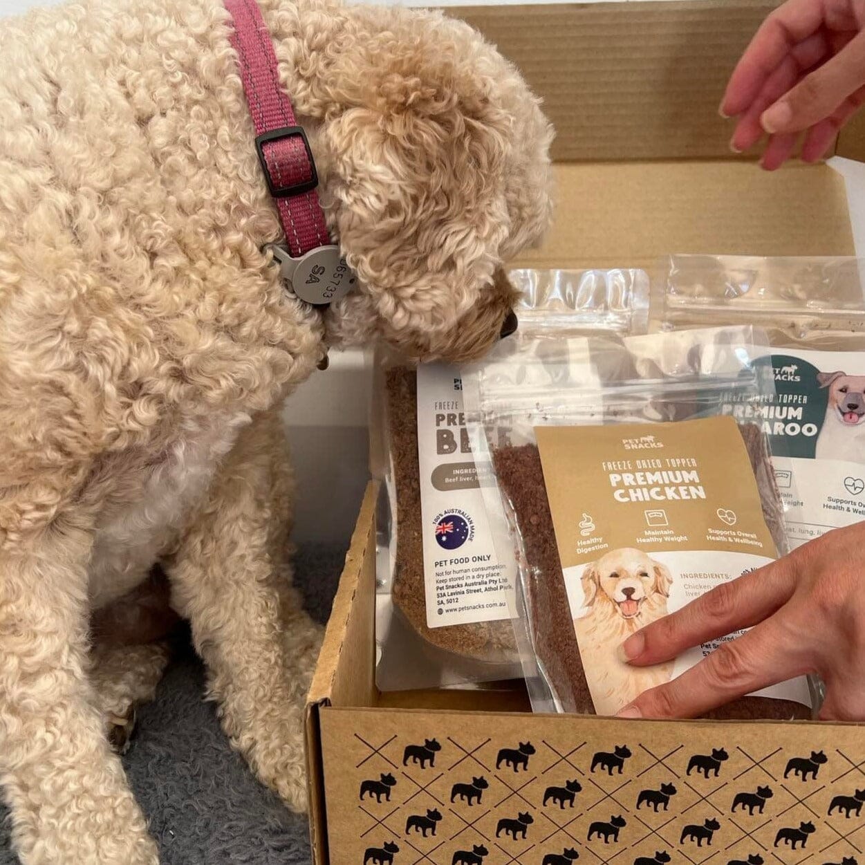 Raw Food Topper - Sample Pack Dog Food Pet Snacks 