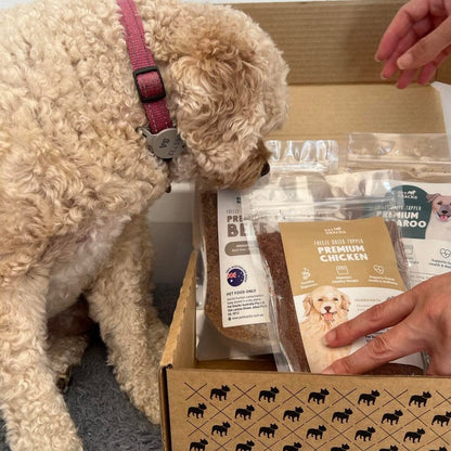 Raw Food Topper - Sample Pack Dog Food Pet Snacks 